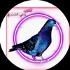user2348587968616