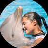 dolphin show