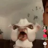 moni_robot