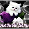 user55204181256695