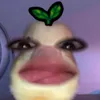 mariaaaaaaaa381