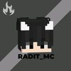 raditt.mc151
