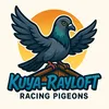 kuyarayloft