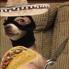 num1chihuahuafanfs