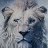 kiros.mufasa