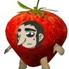 chochowdermeasless