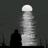 amine.serir