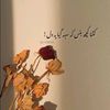 user1127376540299