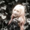 lovely_cookie59