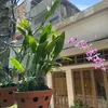 thanh.tuan104