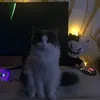 cyxaruku3ekb