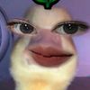 rohmaaulya_0