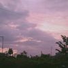 nala_19_4
