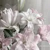 btraamcutii12