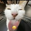 diembg0
