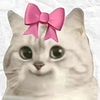 appleuser88334432