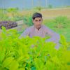 usman.sindhi93