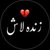 arshad.butt668