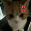 qcie_24