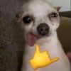 __ddumpiez