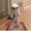 ammarzojmwj