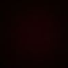 lere_l2