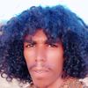 user8306844325733