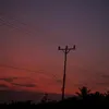 lilyaomjts8