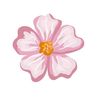 jwanahamed12