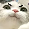 zhuzuo_yuawen