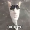 pipidastr6271