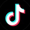 tiktok_verification_17