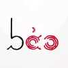 vu_b4o