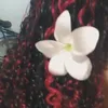 _snanda