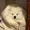 xnunu8