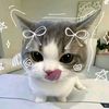 nadz_urlove
