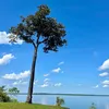 mi.souza04