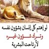 user7816256053063