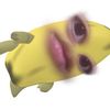 nisapiwww00