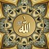 user7237760191638