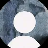 rayvon679