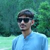 alqma.jaani