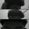 mondonggo_sja
