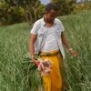 kalid.ahmed344