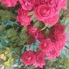user25118731922258