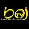 BOJTV LIVE