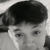 gerz.z19