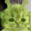 niculinafurtunesc5