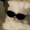 michincat2