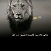 user7530349637976